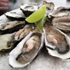 Fresh Pacific Oysters